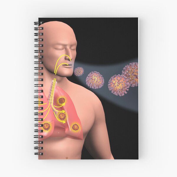 Item preview, STK701491H-COVID-19 coronavirus entering the lungs. designed and sold by StocktrekImages.