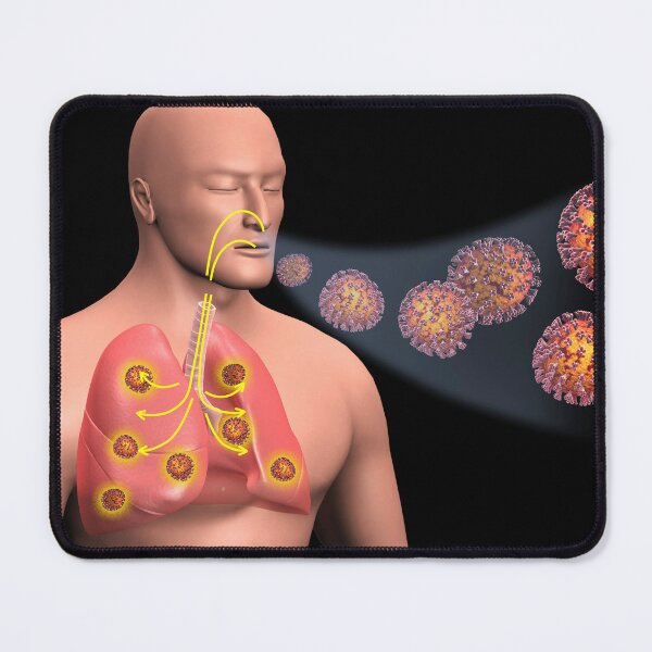Item preview, STK701491H-COVID-19 coronavirus entering the lungs. designed and sold by StocktrekImages.