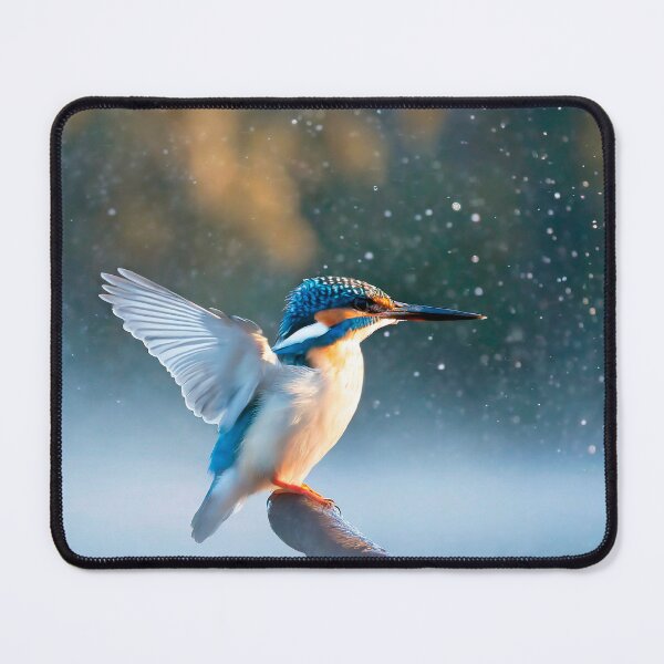 Item preview, The Kingfisher designed and sold by occorocks.