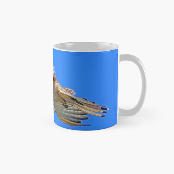 Item preview, Nankeen Kestrel in flight! designed and sold by Anthony Goldman.