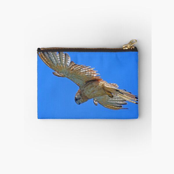 Item preview, Nankeen Kestrel in flight! designed and sold by Anthony Goldman.