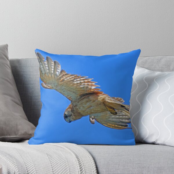 Item preview, Nankeen Kestrel in flight! designed and sold by Anthony Goldman.