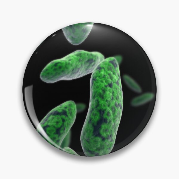 Item preview, STK701498H-Brucellosis, a highly contagious infectious disease. designed and sold by StocktrekImages.