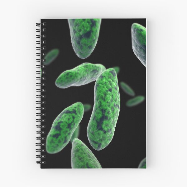 Item preview, STK701498H-Brucellosis, a highly contagious infectious disease. designed and sold by StocktrekImages.