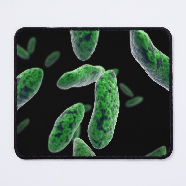 Item preview, STK701498H-Brucellosis, a highly contagious infectious disease. designed and sold by StocktrekImages.