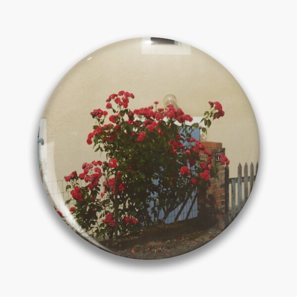 Item preview, Red roses blue shutters designed and sold by minneyael.