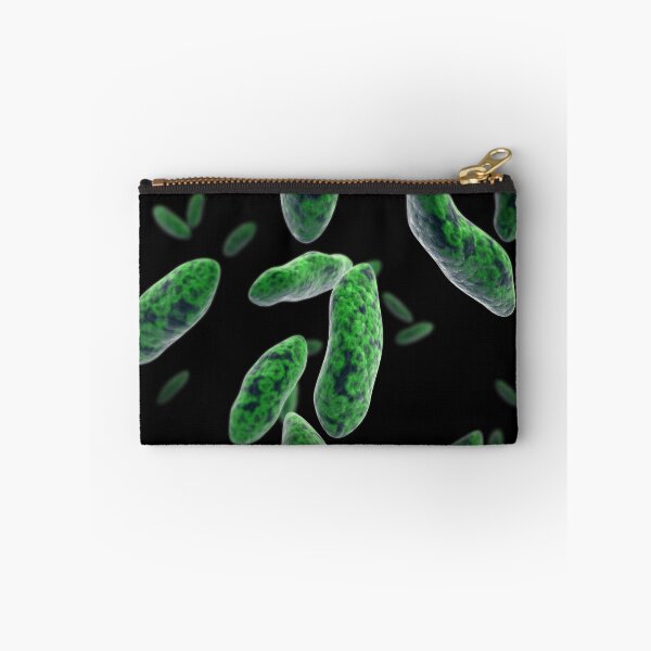 Item preview, STK701498H-Brucellosis, a highly contagious infectious disease. designed and sold by StocktrekImages.