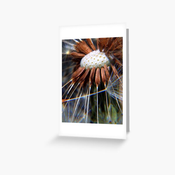 3 o,clock Greeting Card