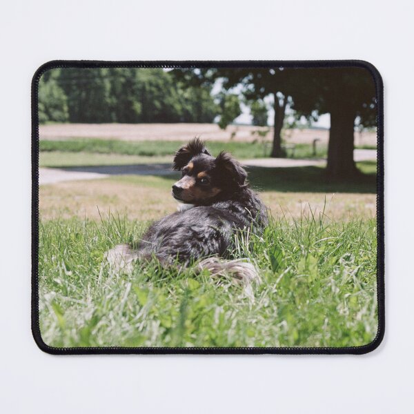 Item preview, Dog sitting on the grass designed and sold by krsdesigns.