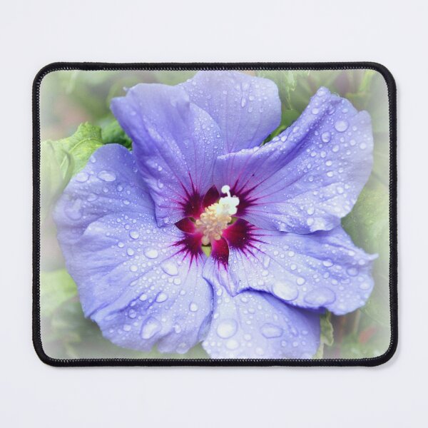 Item preview, Blue Hibiscus designed and sold by mhfore.
