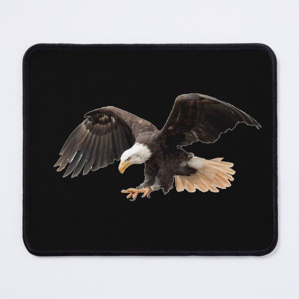Item preview, Spirit of the Hawks designed and sold by tpixx.