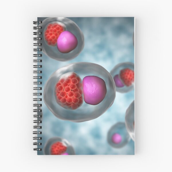 Item preview, STK701506H-Large group of Chlamydia psittaci. designed and sold by StocktrekImages.