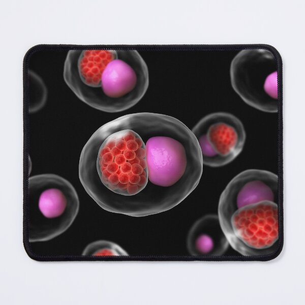 Item preview, STK701507H-Large group of Chlamydia psittaci. designed and sold by StocktrekImages.