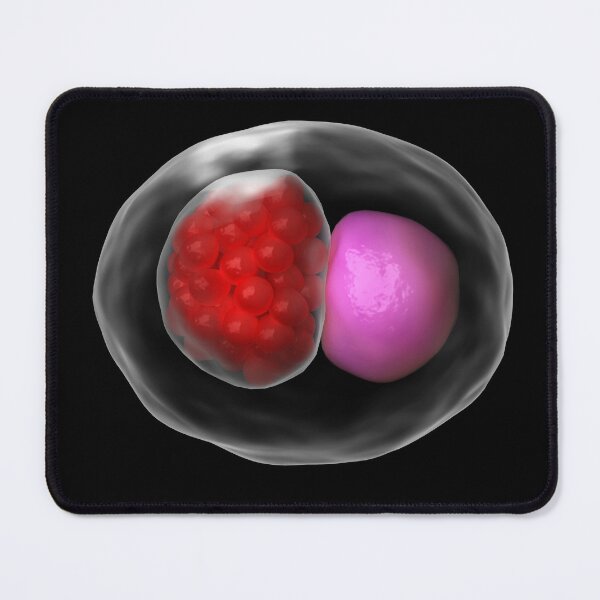 Item preview, STK701508H-Microscopic concept of Chlamydia psittaci. designed and sold by StocktrekImages.