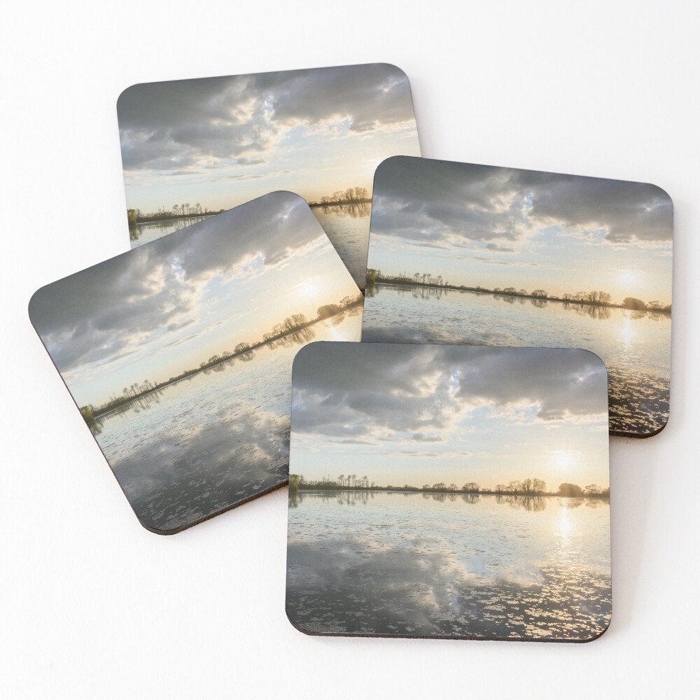 Item preview, Coasters (Set of 4) designed and sold by AwesomeSights.