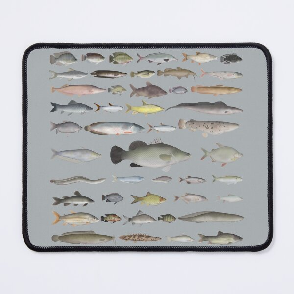 Item preview, Nile River Basin Fish Group designed and sold by fishfolkart.