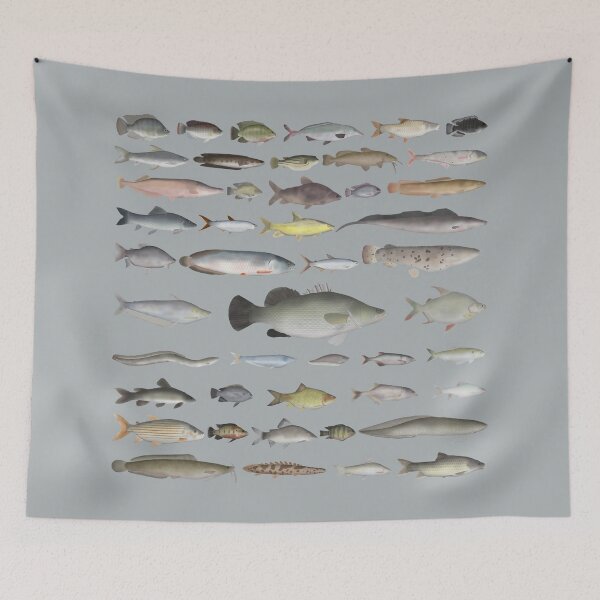 Item preview, Nile River Basin Fish Group designed and sold by fishfolkart.