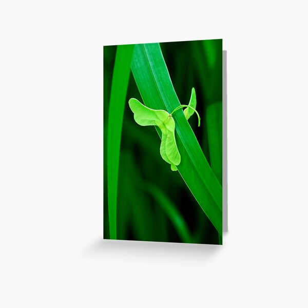Caught Up Greeting Card