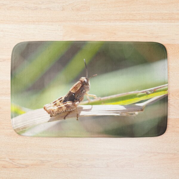 Item preview, Little grasshopper on a stalk designed and sold by Syr'photographies.