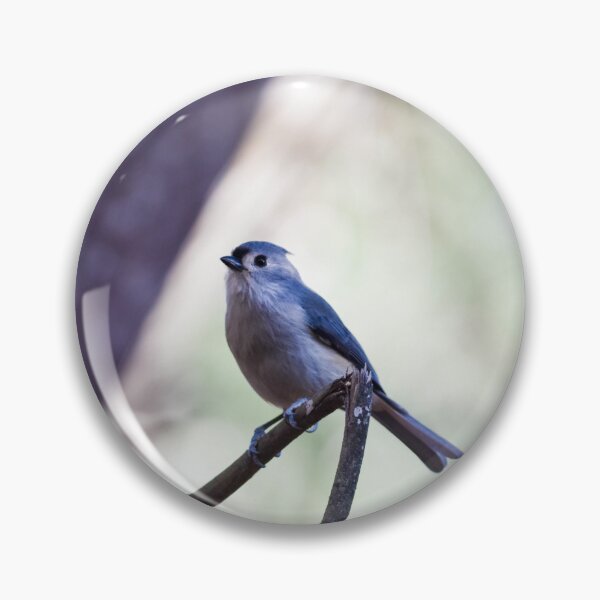 Item preview, Small Tufted Titmouse designed and sold by Becky Laine.