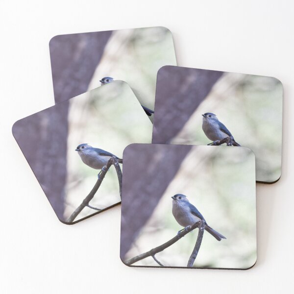 Item preview, Small Tufted Titmouse designed and sold by Becky Laine.