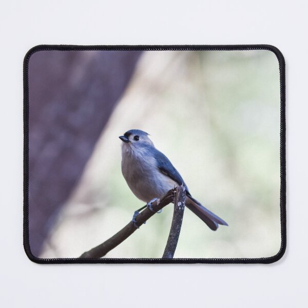 Item preview, Small Tufted Titmouse designed and sold by Becky Laine.