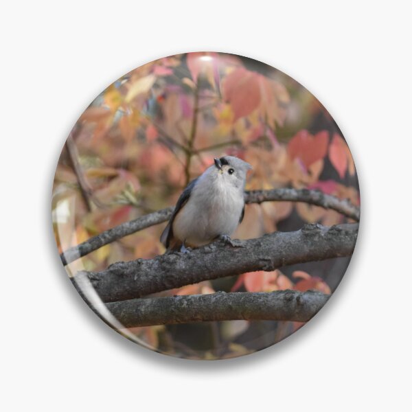 Item preview, Autumnal Tufted Titmouse designed and sold by Becky Laine.