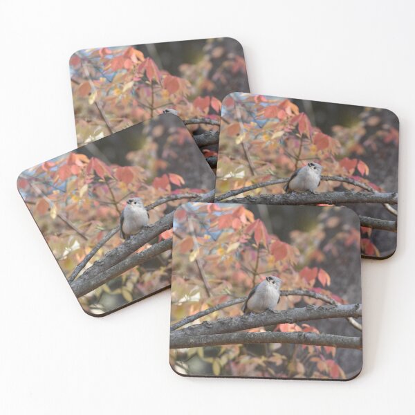 Item preview, Autumnal Tufted Titmouse designed and sold by Becky Laine.