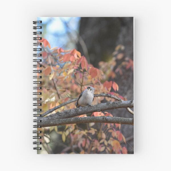Item preview, Autumnal Tufted Titmouse designed and sold by Becky Laine.