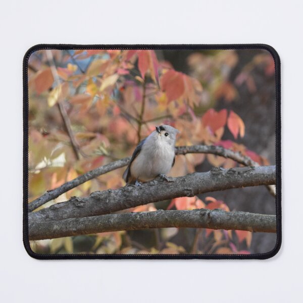 Item preview, Autumnal Tufted Titmouse designed and sold by Becky Laine.