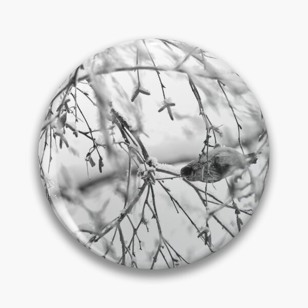 Item preview, Birch catkins oh yeah. Mealy redpoll bw designed and sold by Jouko Lehto Photography.