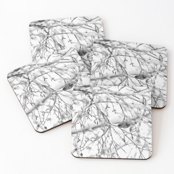 Item preview, Birch catkins oh yeah. Mealy redpoll bw designed and sold by Jouko Lehto Photography.