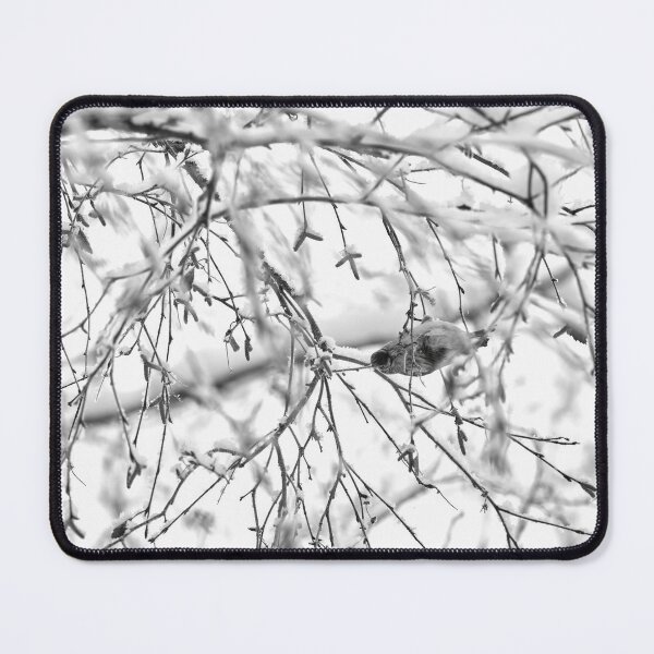 Item preview, Birch catkins oh yeah. Mealy redpoll bw designed and sold by Jouko Lehto Photography.