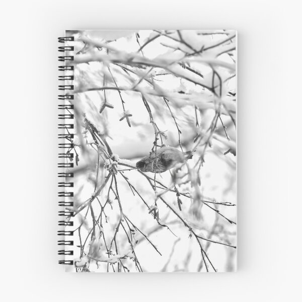 Item preview, Birch catkins oh yeah. Mealy redpoll bw designed and sold by Jouko Lehto Photography.