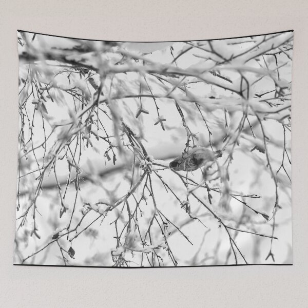 Item preview, Birch catkins oh yeah. Mealy redpoll bw designed and sold by Jouko Lehto Photography.