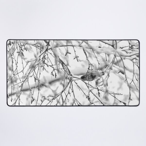 Item preview, Birch catkins oh yeah. Mealy redpoll bw designed and sold by Jouko Lehto Photography.