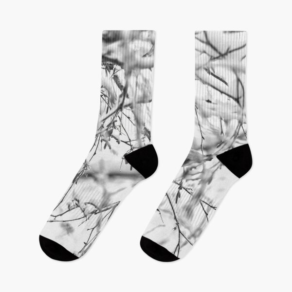Item preview, Birch catkins oh yeah. Mealy redpoll bw designed and sold by Jouko Lehto Photography.