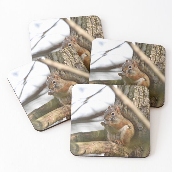 Item preview, Little Brown Squirrel designed and sold by Becky Laine.