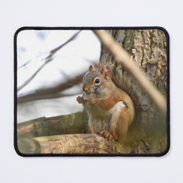 Item preview, Little Brown Squirrel designed and sold by Becky Laine.