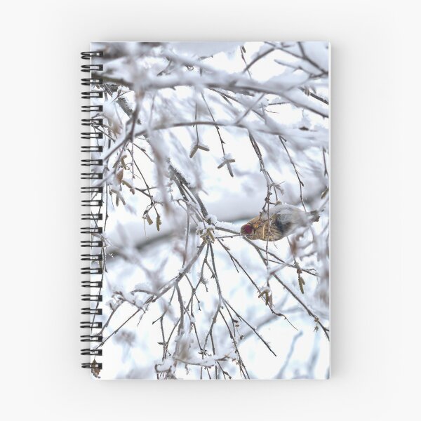 Item preview, Birch catkins oh yeah. Mealy redpoll designed and sold by Jouko Lehto Photography.