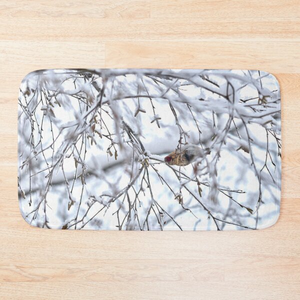 Item preview, Birch catkins oh yeah. Mealy redpoll designed and sold by Jouko Lehto Photography.