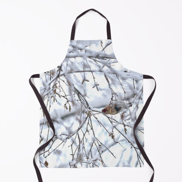 Item preview, Birch catkins oh yeah. Mealy redpoll designed and sold by Jouko Lehto Photography.