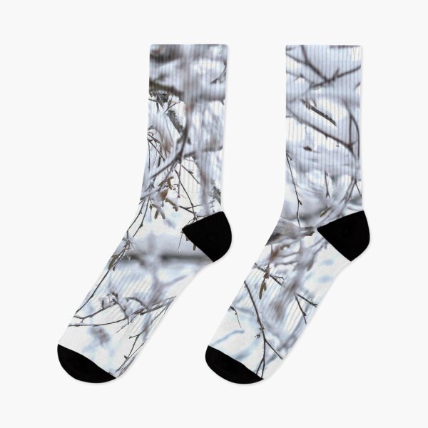 Item preview, Birch catkins oh yeah. Mealy redpoll designed and sold by Jouko Lehto Photography.