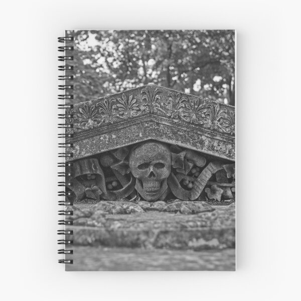 Item preview, Sarcophagus at Saint Anthony of Padua Church in Bihac, Bosnia designed and sold by jojobob.