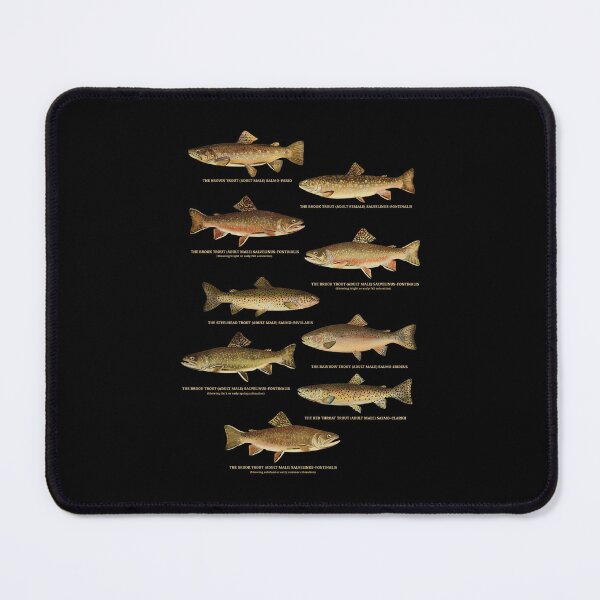 Item preview, Trout Fishes of Pennsylvania designed and sold by KewaleeTee.