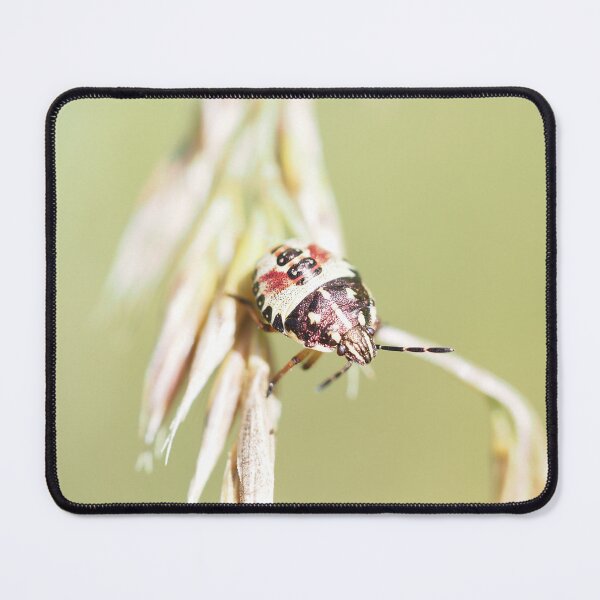 Item preview, Stink bug's larva designed and sold by Syr'photographies.
