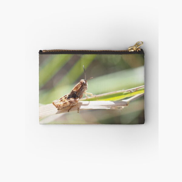 Item preview, Little grasshopper on a stalk designed and sold by Syr'photographies.