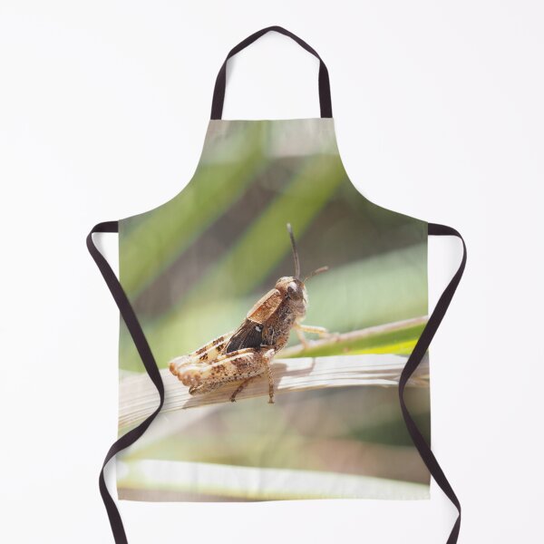 Item preview, Little grasshopper on a stalk designed and sold by Syr'photographies.