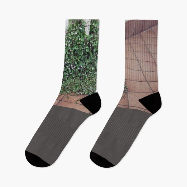 Item preview, 2019 Rampicante designed and sold by robertoferrero.