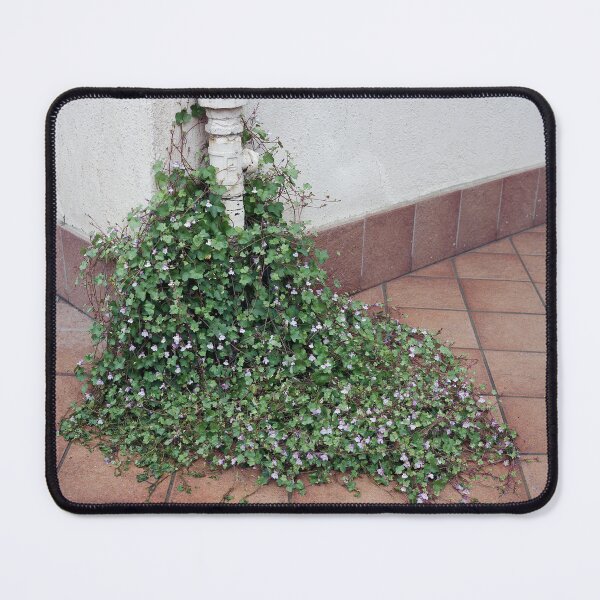 Item preview, 2019 Rampicante designed and sold by robertoferrero.